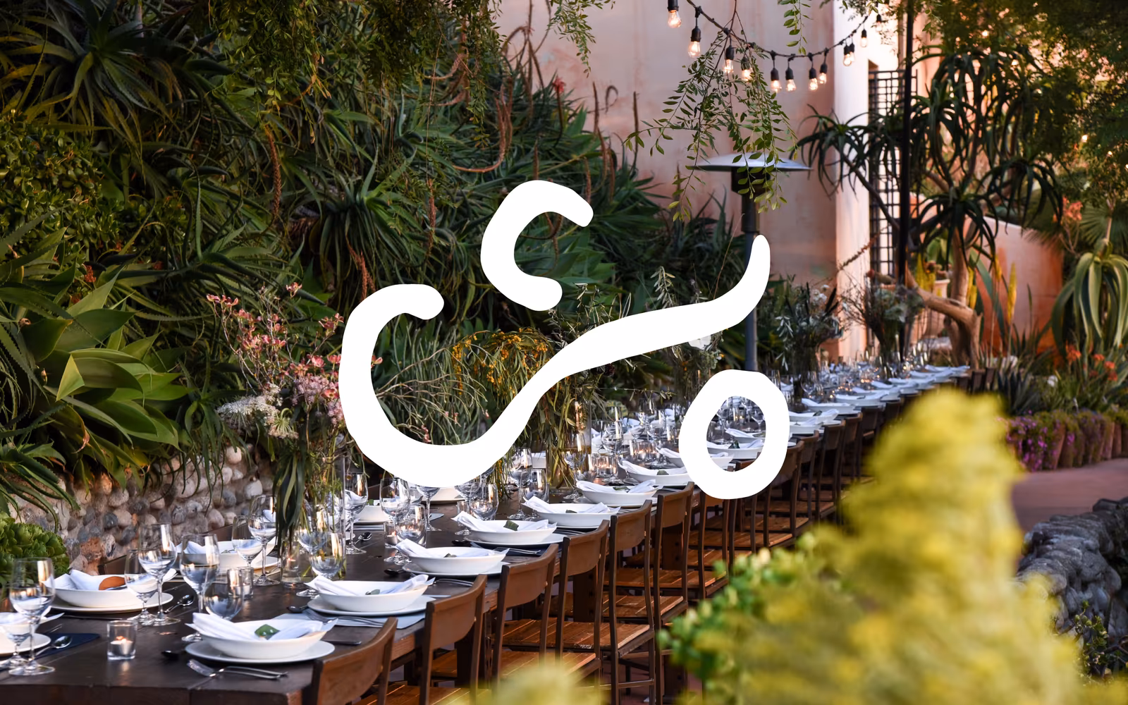 Care of Chan — Editorial Restaurant website design