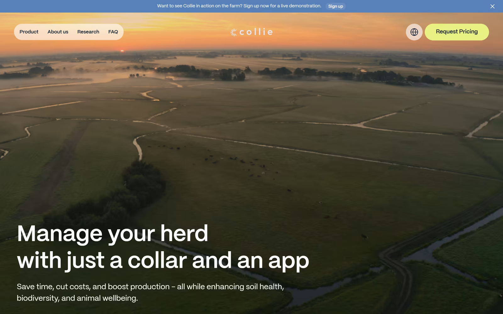 Collie — Minimalist SaaS website design
